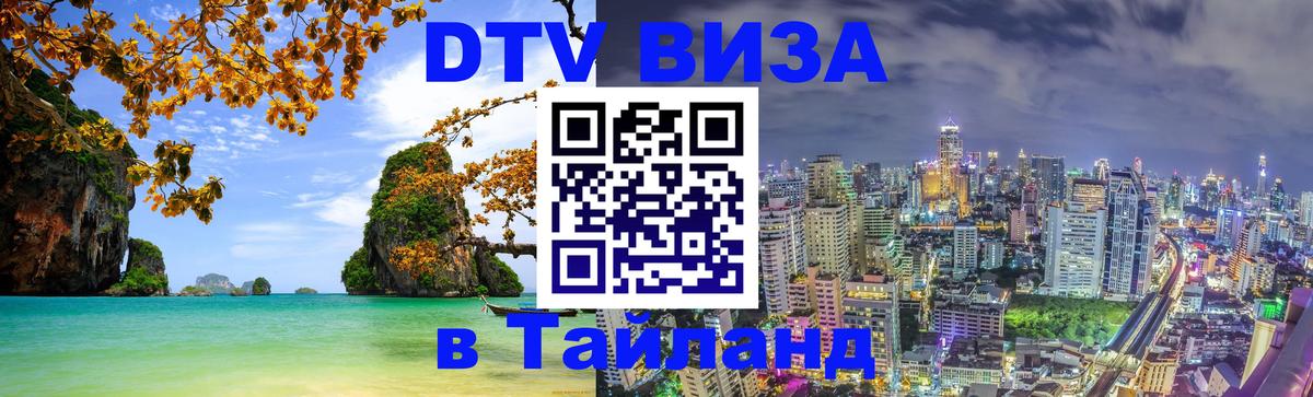 Оформление DTV визы под ключ: стоимость и тарифы, только загранпаспорт - 